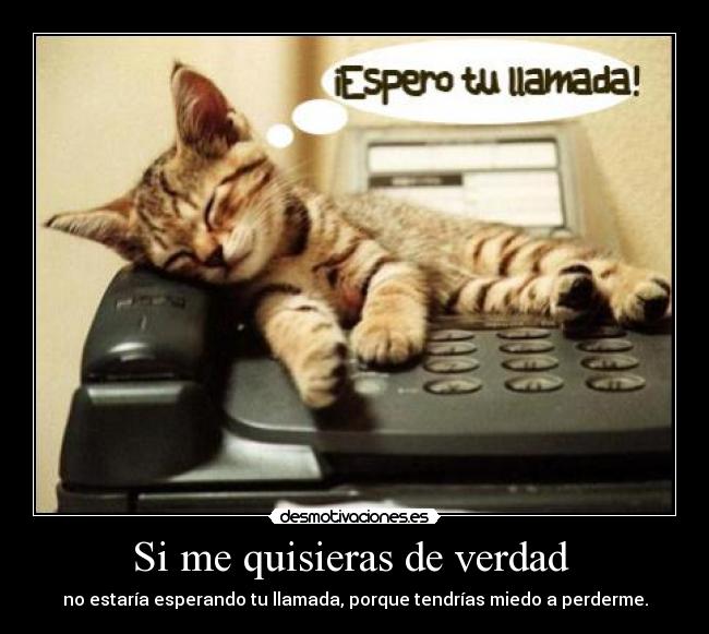 Si me quisieras de verdad - no estaría esperando tu llamada, porque tendrías miedo a perderme.