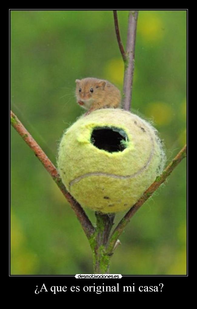 carteles casa dannyesku99 desmotivaciones