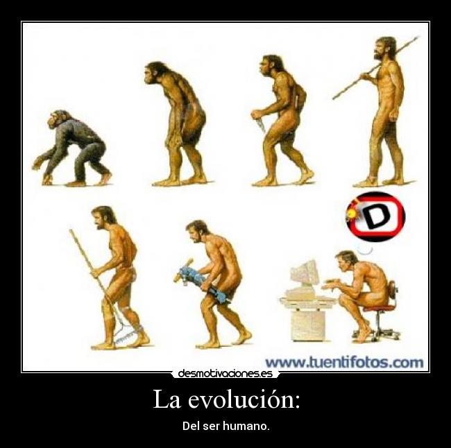 La evolución: -