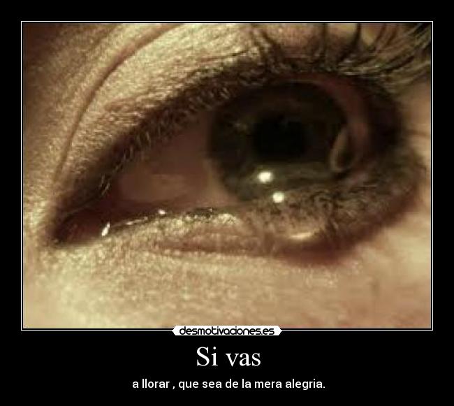 Si vas - a llorar , que sea de la mera alegria.