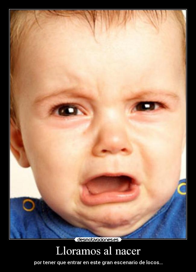 carteles xddddddd desmotivaciones