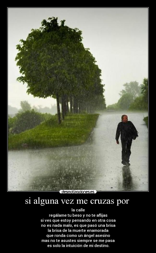 si alguna vez me cruzas por  - la calle
regálame tu beso y no te aflijas
si ves que estoy pensando en otra cosa
no es nada malo, es que pasó una brisa
la brisa de la muerte enamorada
que ronda como un ángel asesino
mas no te asustes siempre se me pasa
es solo la intuición de mi destino.