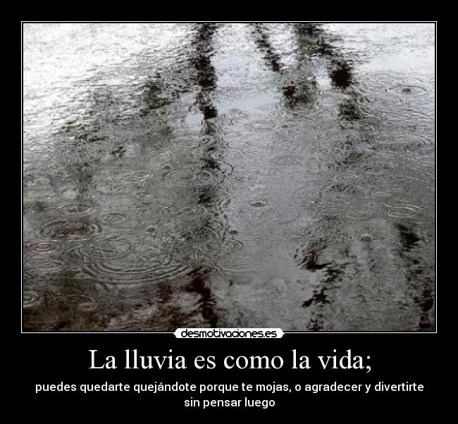 La lluvia es como la vida; - puedes quedarte quejándote porque te mojas, o agradecer y divertirte sin pensar luego