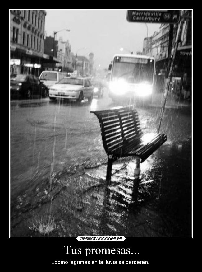 Tus promesas... - ..como lagrimas en la lluvia se perderan.