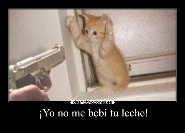 ¡Yo no me bebí tu leche! - 