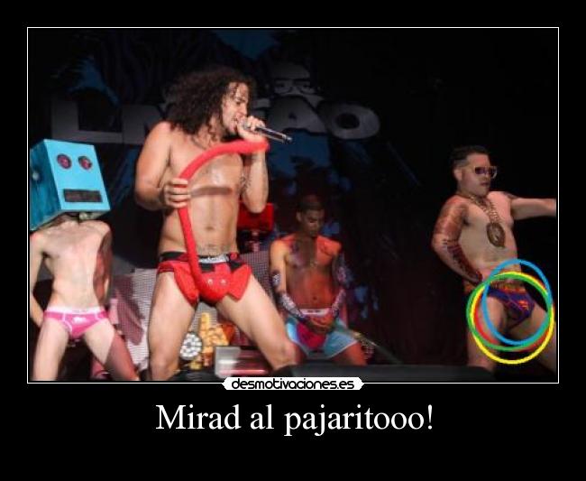 Mirad al pajaritooo! -