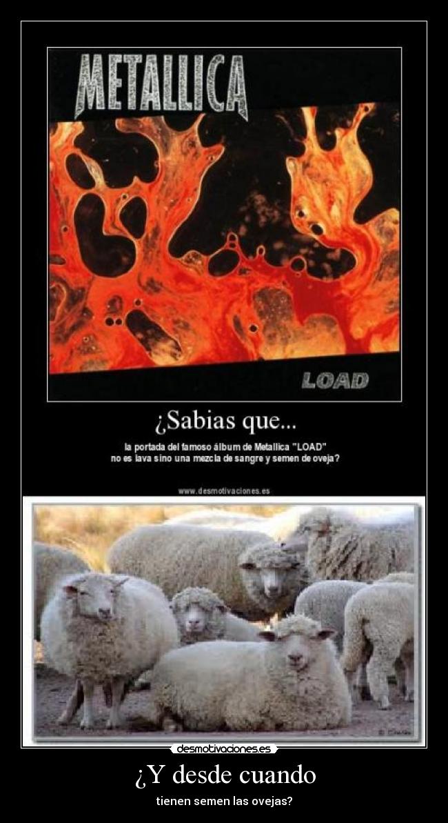 ¿Y desde cuando - tienen semen las ovejas?