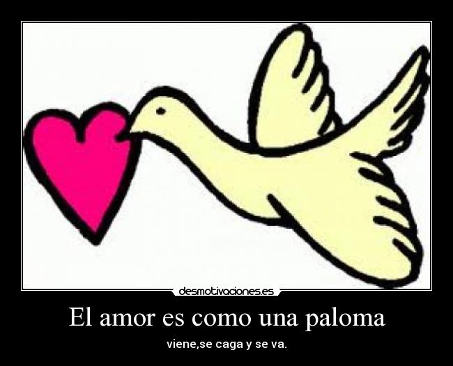 El amor es como una paloma - viene,se caga y se va.