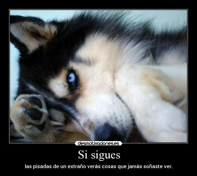Si sigues - 