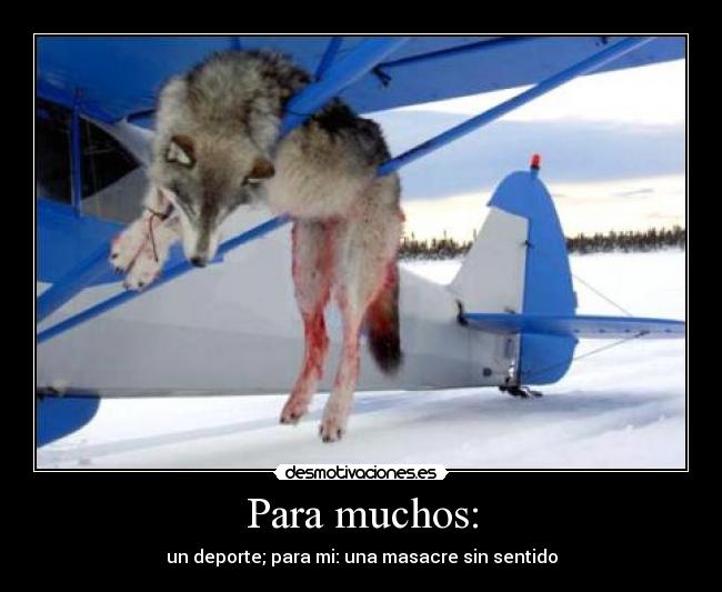 Para muchos: - un deporte; para mi: una masacre sin sentido