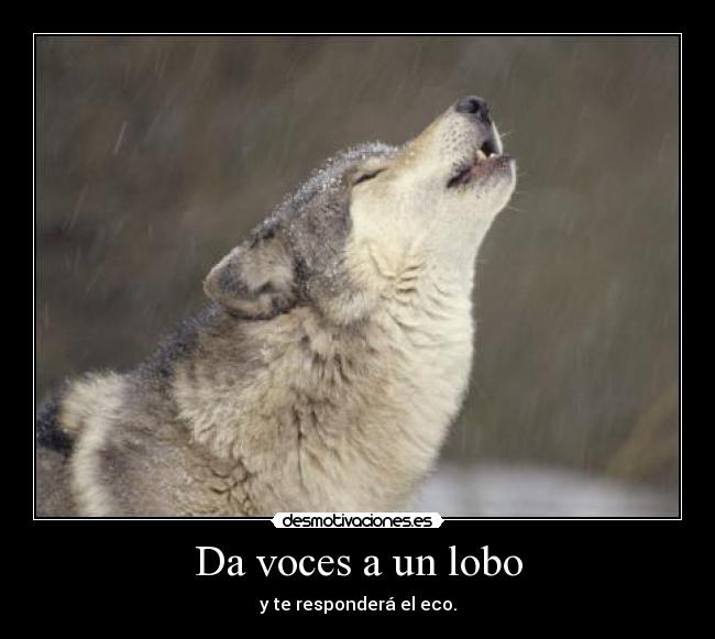 Da voces a un lobo - 