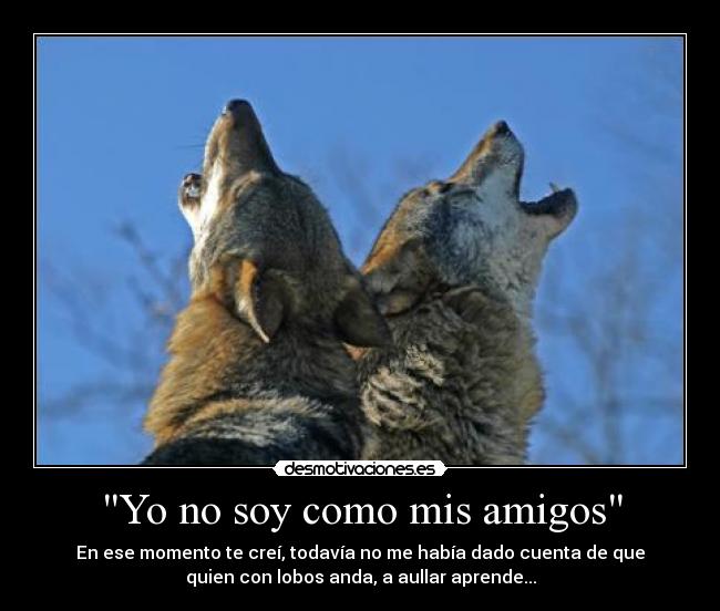 carteles amigos isiris desmotivaciones