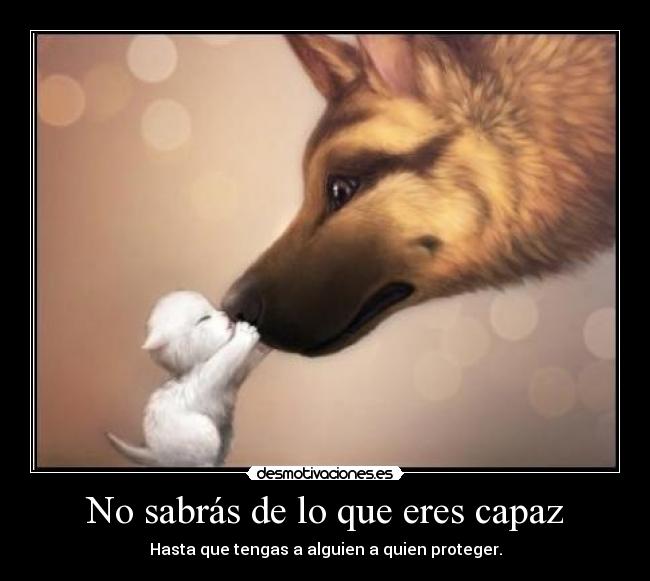 No sabrás de lo que eres capaz - Hasta que tengas a alguien a quien proteger.