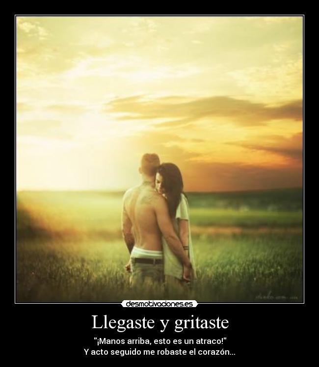 Llegaste y gritaste -