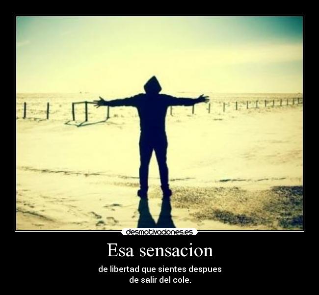 carteles walt_k desmotivaciones