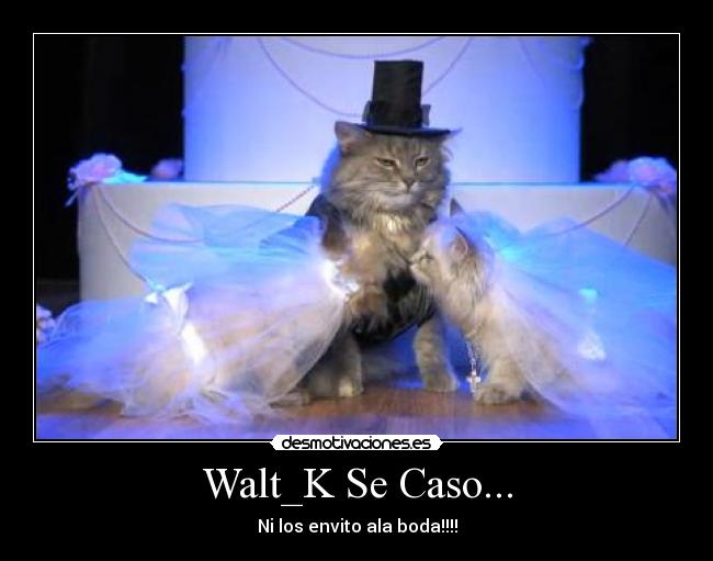Walt_K Se Caso... - Ni los envito ala boda!!!!