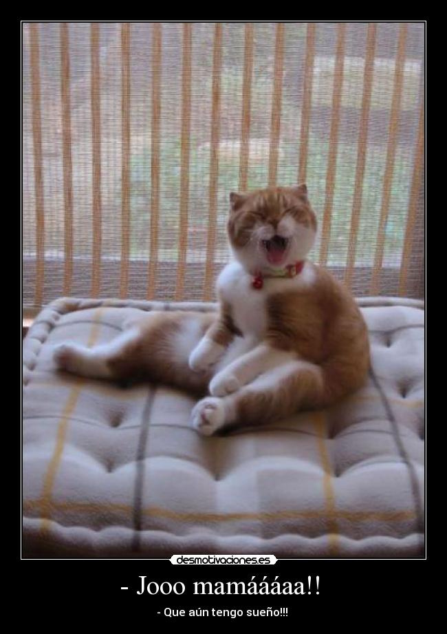 - Jooo mamáááaa!! -