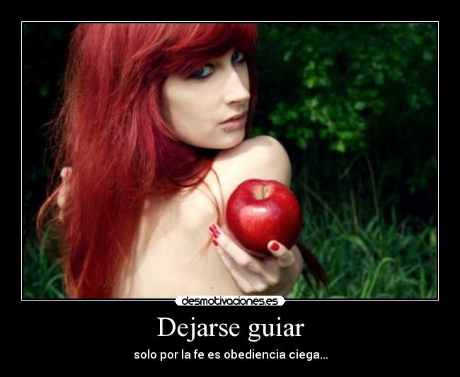 Dejarse guiar -