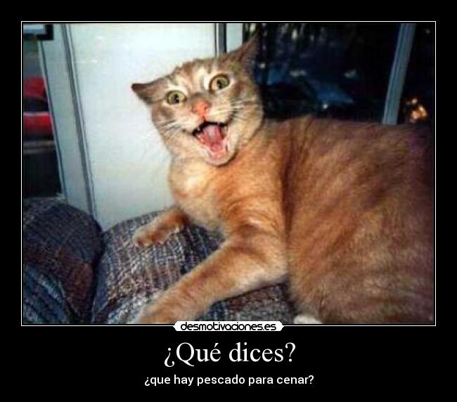 ¿Qué dices? -