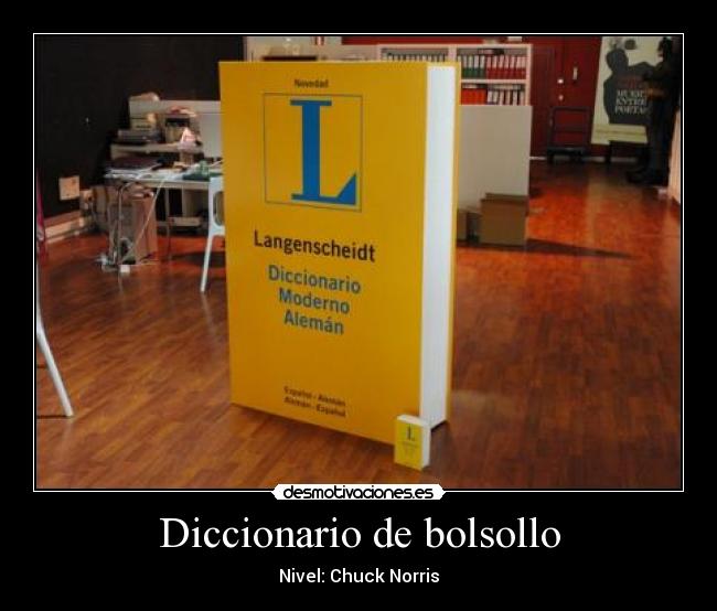 Diccionario de bolsollo - 