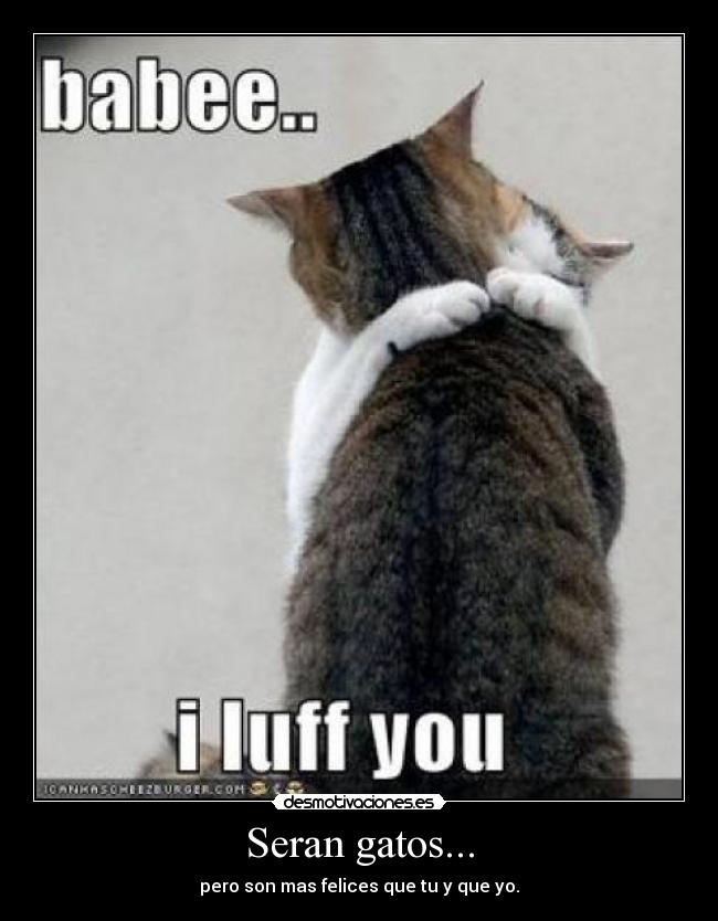 Seran gatos... - pero son mas felices que tu y que yo.