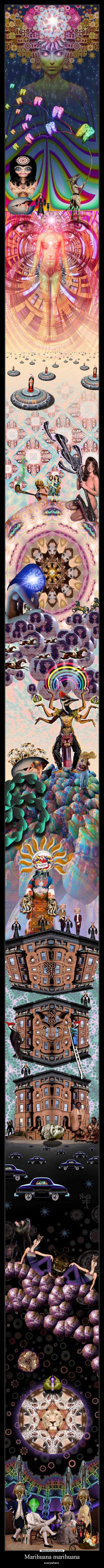 Marihuana marihuana -