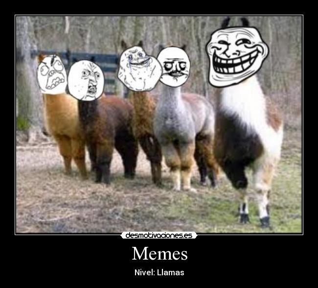 Memes - Nivel: Llamas