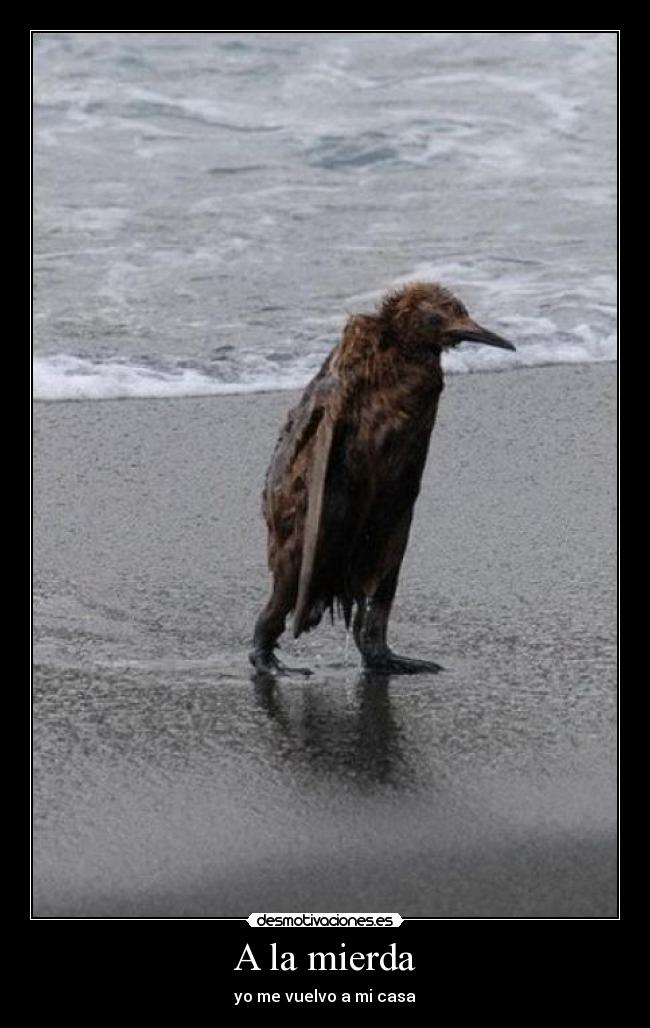 A la mierda - yo me vuelvo a mi casa