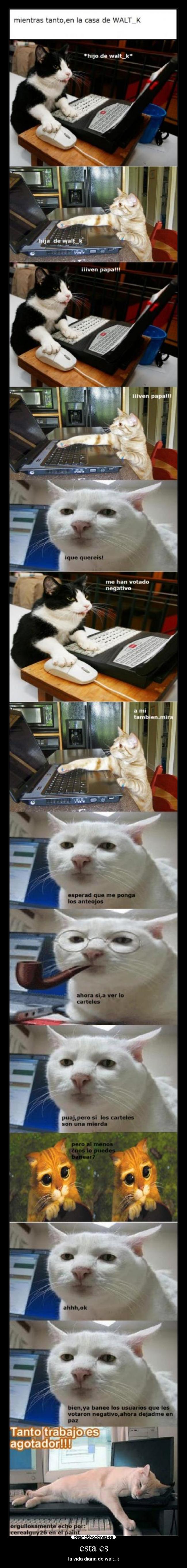 esta es - la vida diaria de walt_k