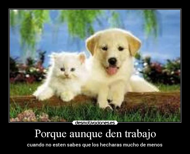 Porque aunque den trabajo - cuando no esten sabes que los hecharas mucho de menos