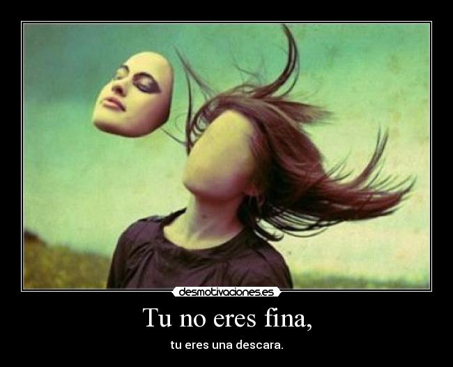 carteles eres fina desmotivaciones