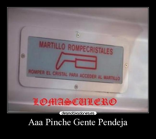 Aaa Pinche Gente Pendeja - 