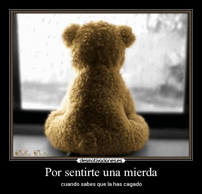 carteles mierda amor sentir desmotivaciones