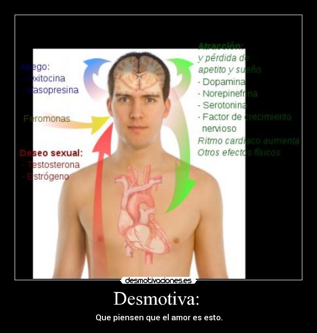 Desmotiva: -