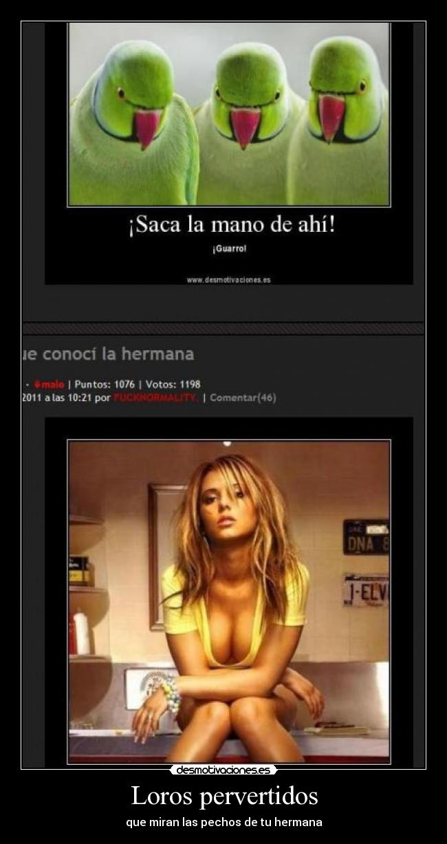 Loros pervertidos - 