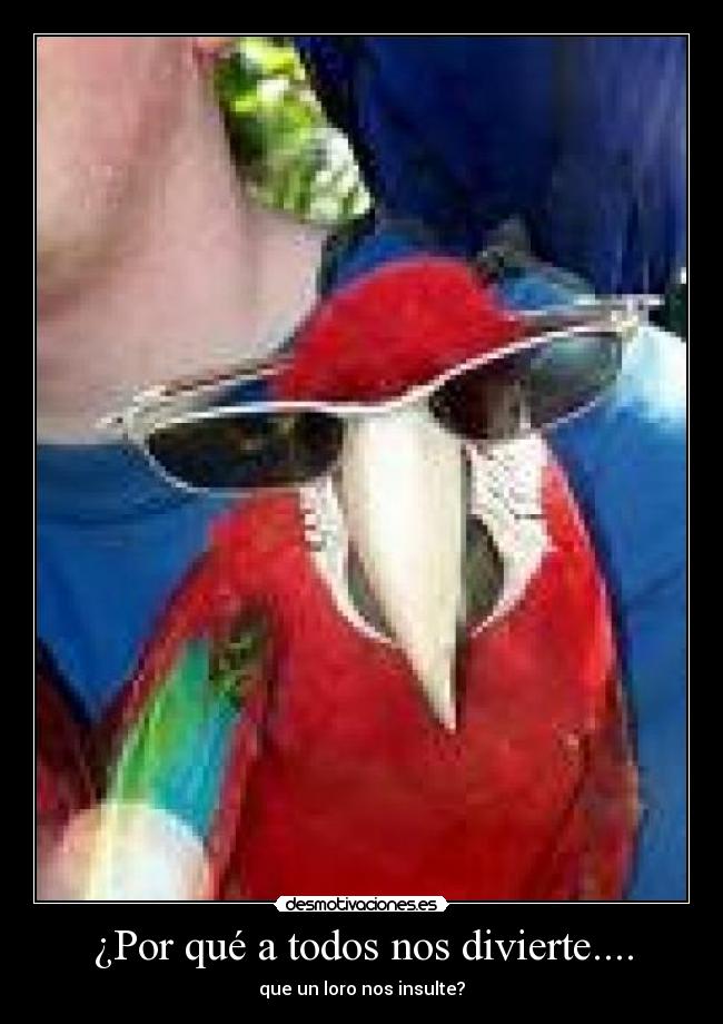¿Por qué a todos nos divierte.... - que un loro nos insulte?