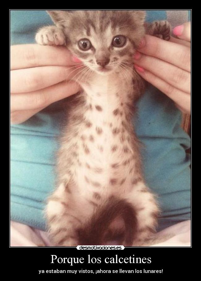 carteles porque calcetines estaban vistos ahora llevan lunares vic blablabla por que lees las etiquetas desmotivaciones