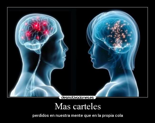 Mas carteles - perdidos en nuestra mente que en la propia cola