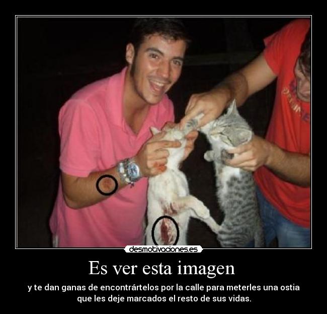 Es ver esta imagen - y te dan ganas de encontrártelos por la calle para meterles una ostia
que les deje marcados el resto de sus vidas.