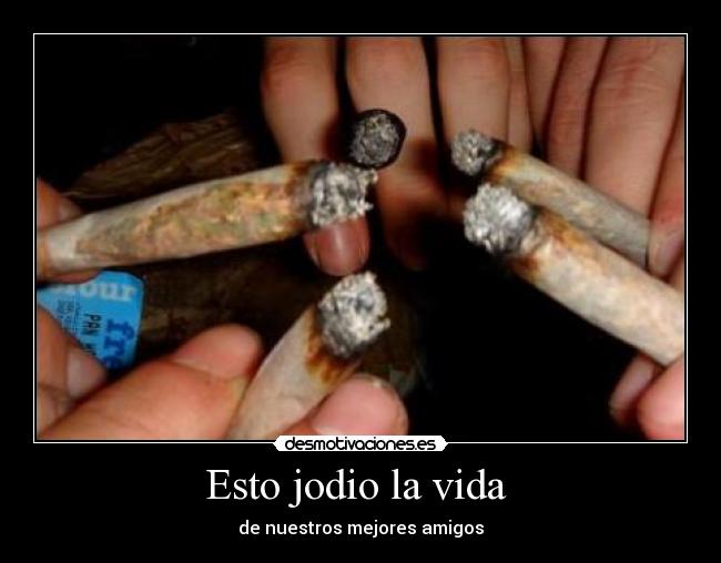 Esto jodio la vida - de nuestros mejores amigos