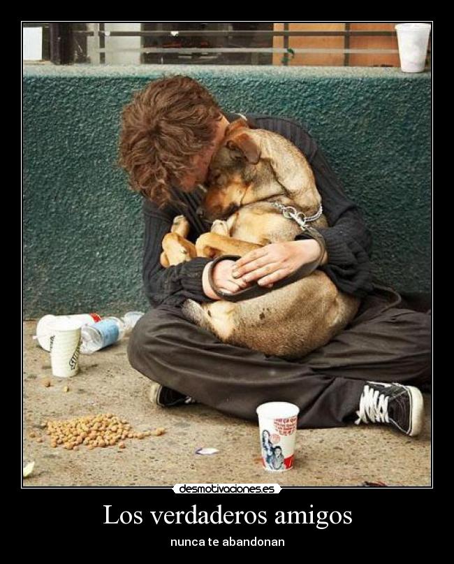 carteles amigos verdaderosamigosvagabundoperrofiel desmotivaciones