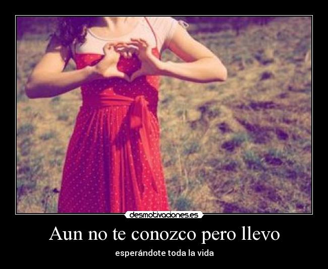 Aun no te conozco pero llevo -