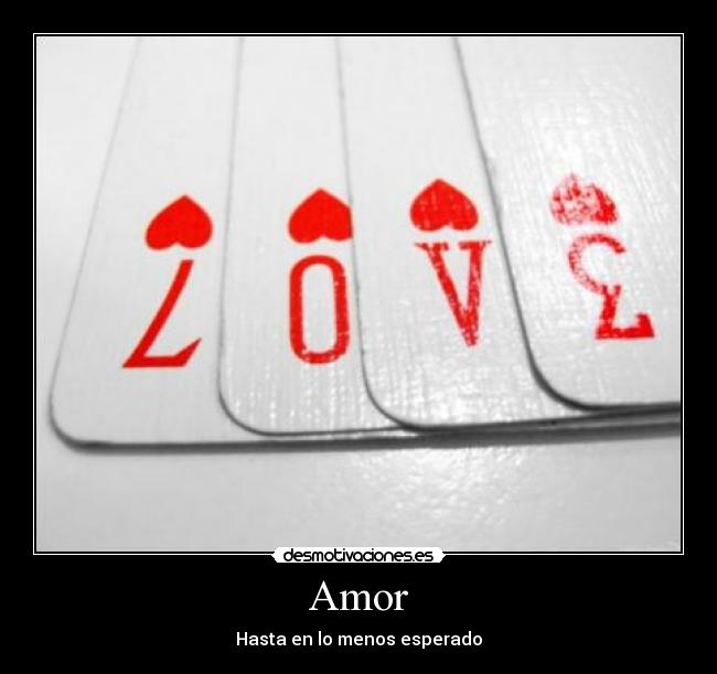 Amor - 