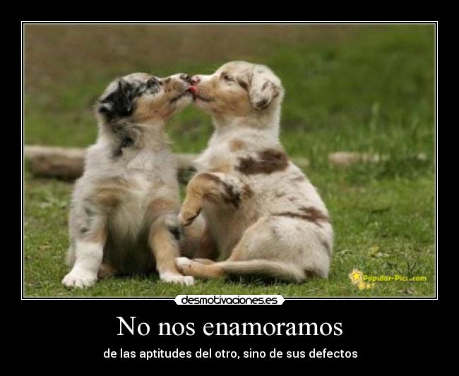 No nos enamoramos - de las aptitudes del otro, sino de sus defectos