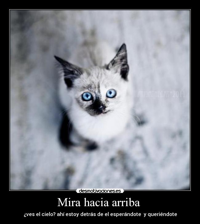 Mira hacia arriba - ¿ves el cielo? ahí estoy detrás de el esperándote y queriéndote