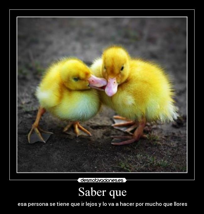 Saber que - esa persona se tiene que ir lejos y lo va a hacer por mucho que llores