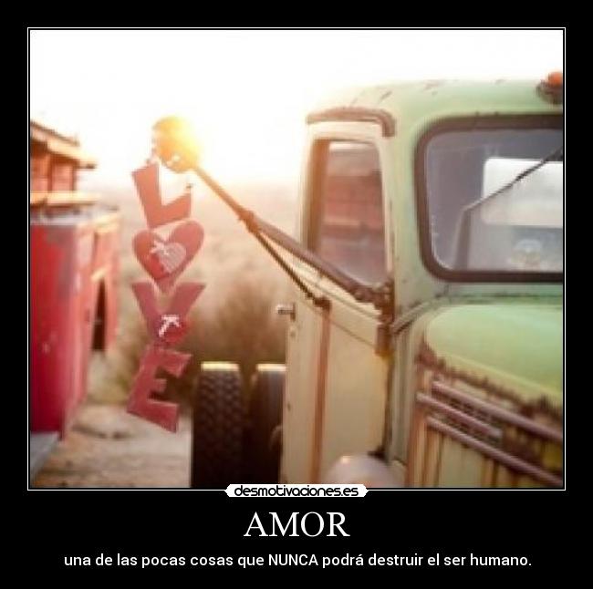 carteles amor love live forever desmotivaciones