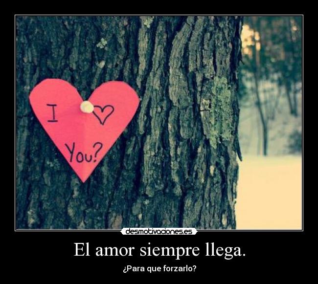 El amor siempre llega. -