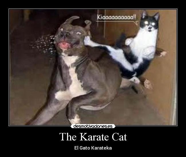 carteles trademasterx desmotivaciones