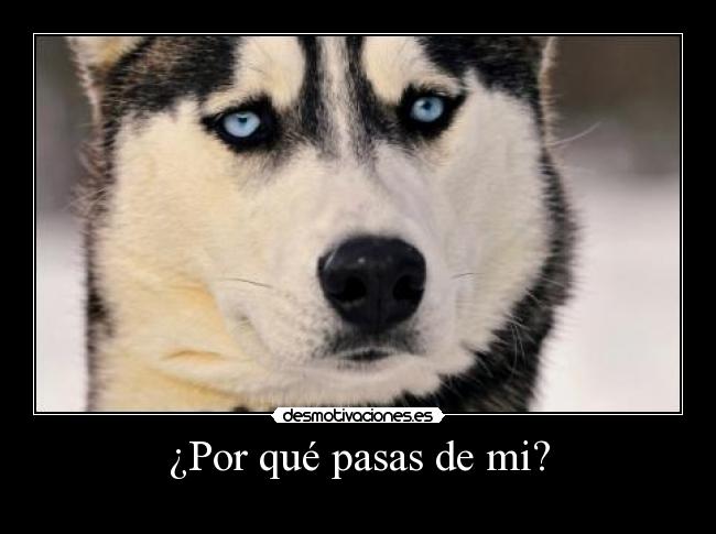 ¿Por qué pasas de mi? -